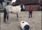 Horsemanship mit Gitano