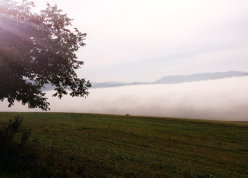 Nebelbänke über Pegestorf